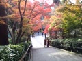 円覚寺の紅葉と横須賀線